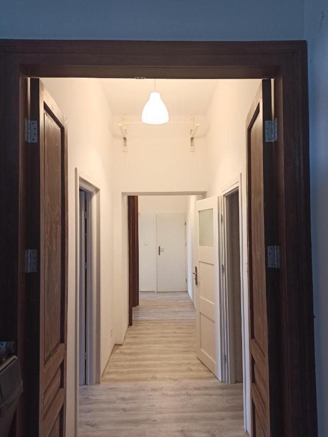 Evergreen Hostel Krakow Luaran gambar