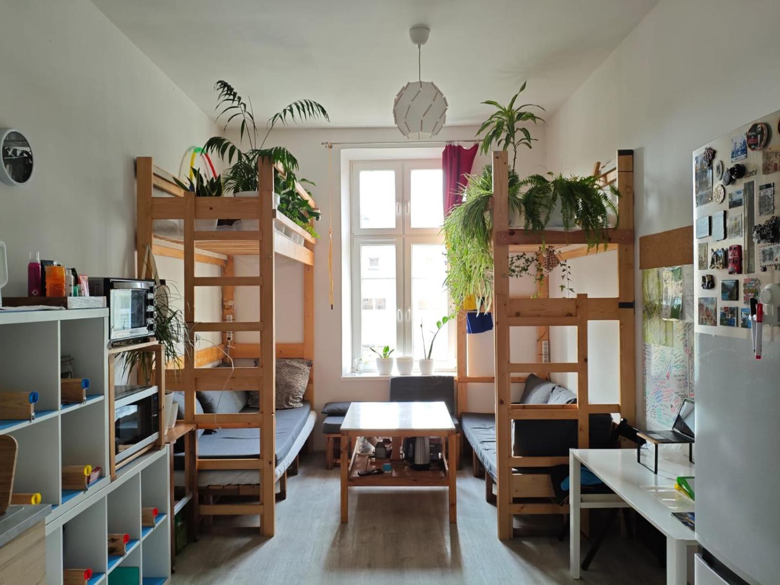 Evergreen Hostel Krakow Luaran gambar