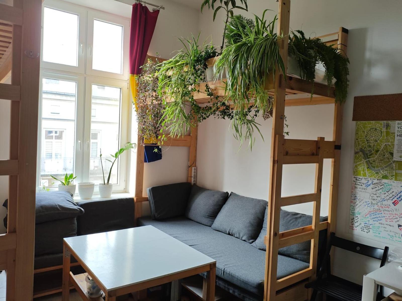 Evergreen Hostel Krakow Luaran gambar